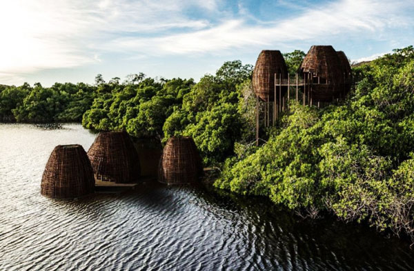 home-dest-amazonia